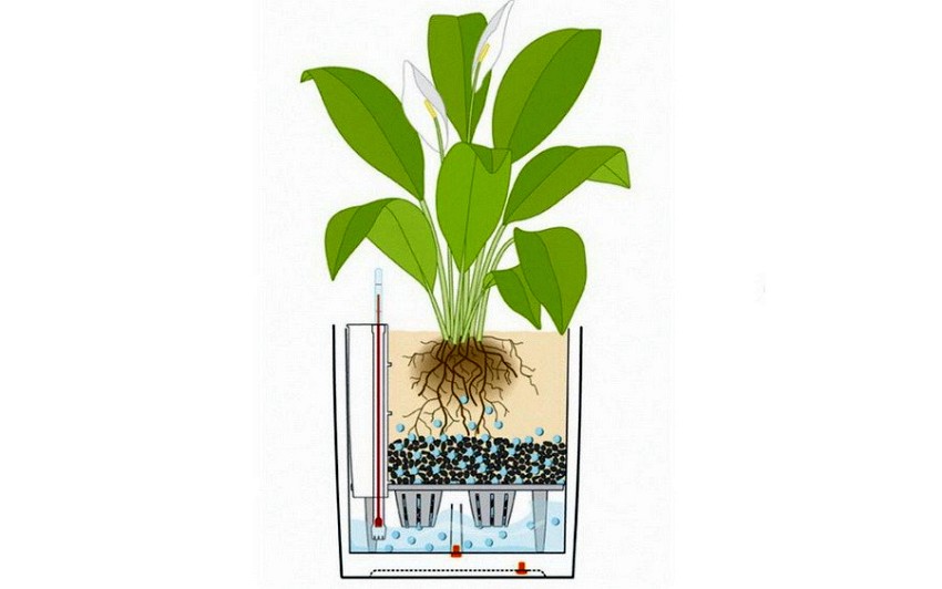 schemat działania nawodnienia w donicach Lechuza